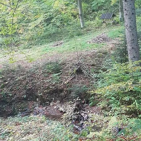 Stas -przy Szkole Nr 3 W Skawie