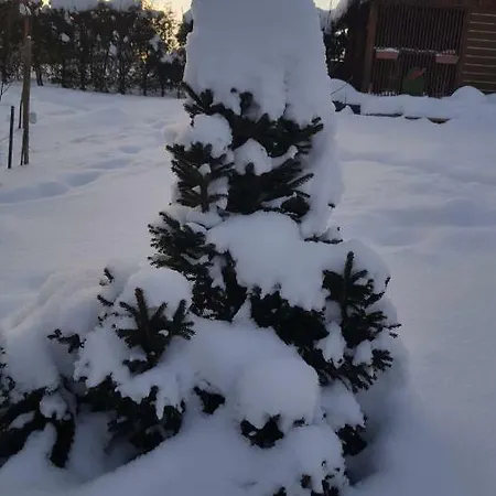 Stas -przy Szkole Nr 3 W Skawie Фермерский дом *