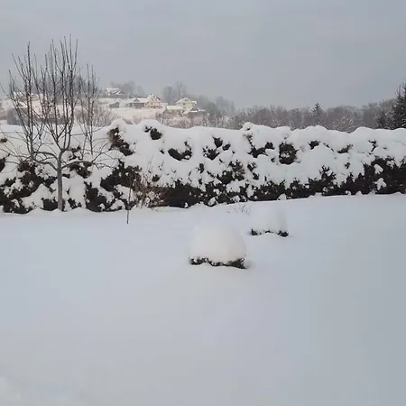 Stas -przy Szkole Nr 3 W Skawie