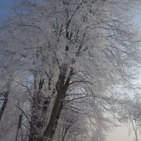 Farm stay Stas -przy Szkole Nr 3 W Skawie *