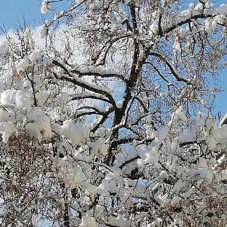 Stas -przy Szkole Nr 3 W Skawie Skawa