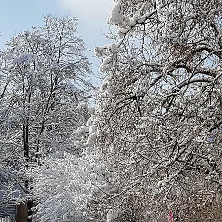 Stas -przy Szkole Nr 3 W Skawie Фермерский дом