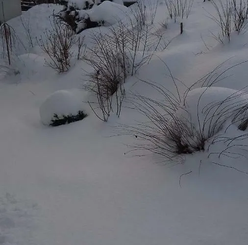 Stas -przy Szkole Nr 3 W Skawie Farm stay Skawa