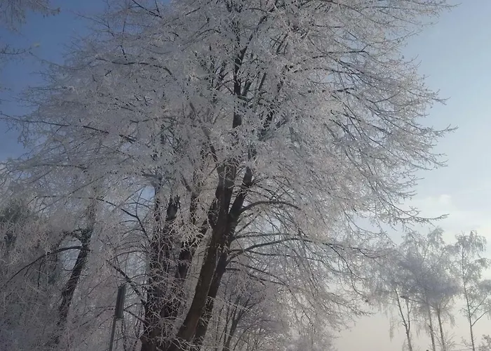 Farm stay Stas -przy Szkole Nr 3 W Skawie *