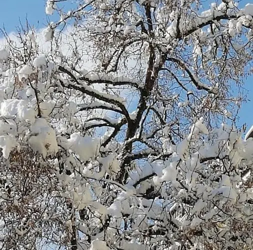 Stas -przy Szkole Nr 3 W Skawie Skawa